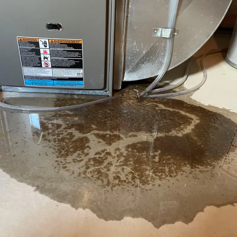 Appliance Leak Cleanup in Benton County, WA